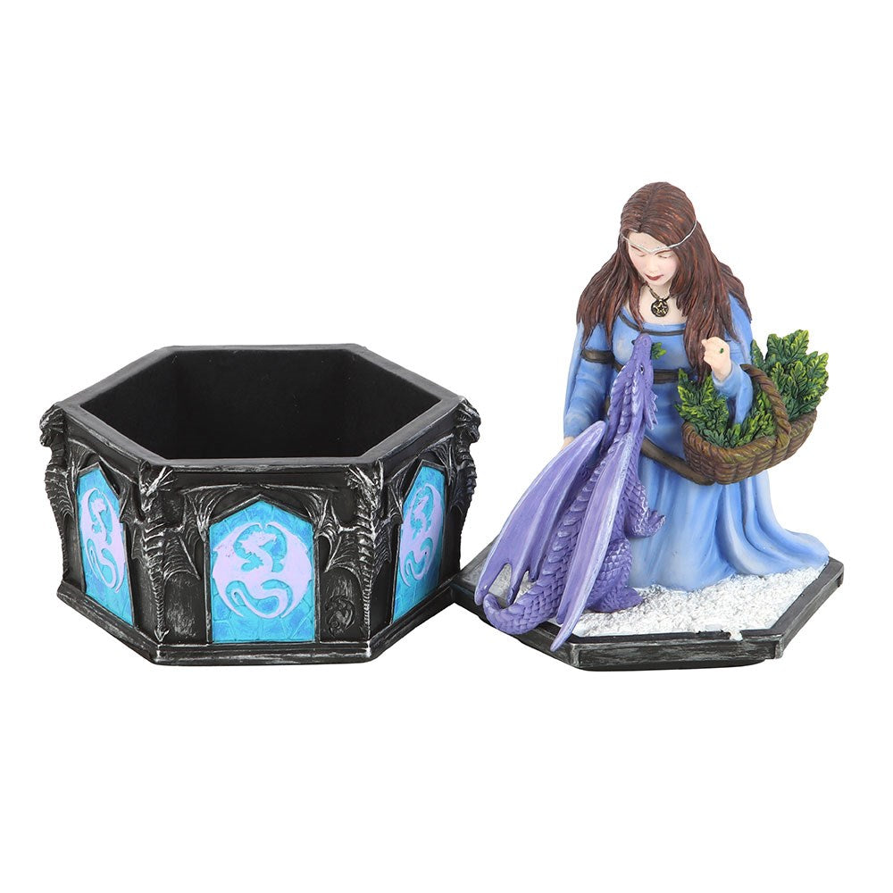 Winter Dragon Friendship Box - Anne Stokes