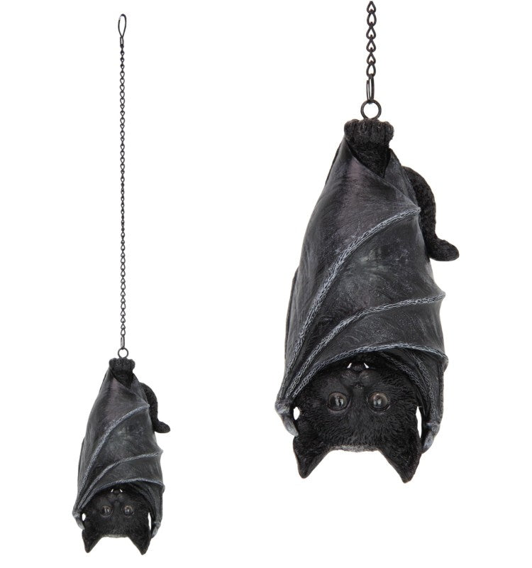 Cat Hanging With Bat Wings