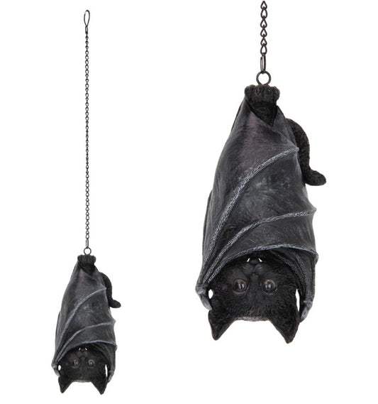 Cat Hanging With Bat Wings