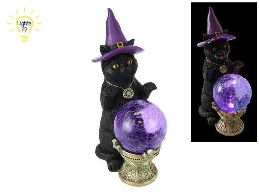 Black Cat Sorcerers Apprentice