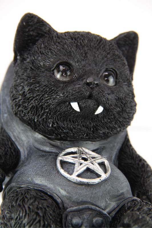 Vampire Goth Hanging Cat