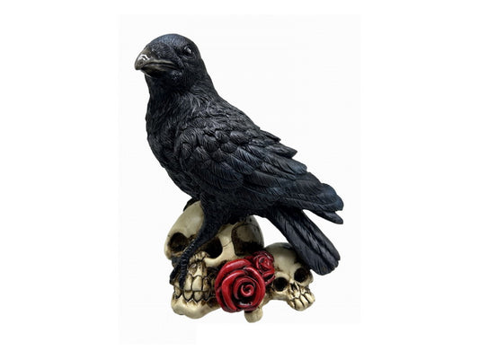 Black Raven on Skulls